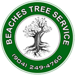 Beaches Tree Service