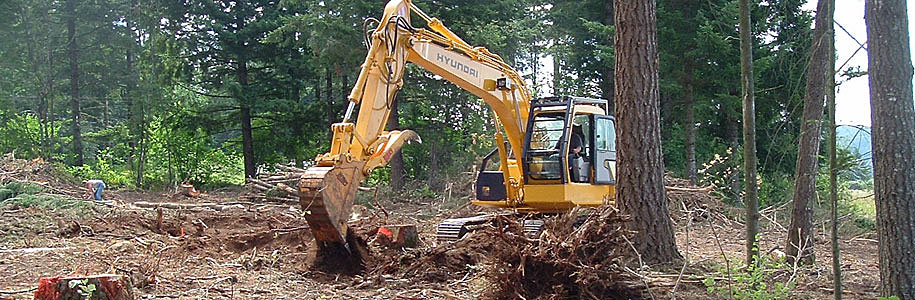 Site Clearing & Stump Removal Services
